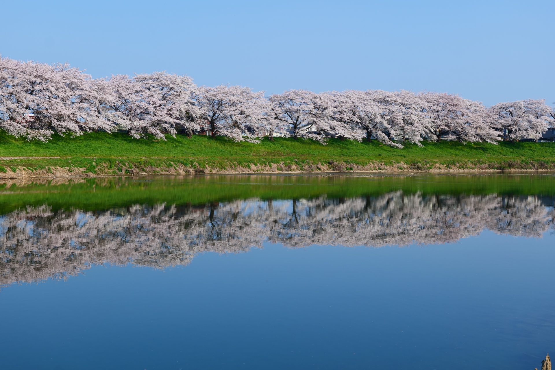 春の宮城
